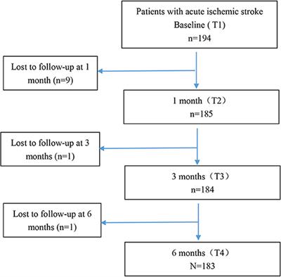 Association Between Early Cognitive Impairment and Midterm Functional Outcomes Among Chinese Acute Ischemic Stroke Patients: A Longitudinal Study